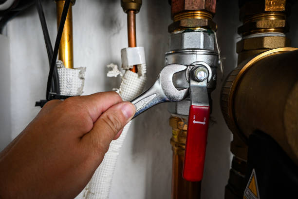 Best Clogged Drain Plumber  in Port Isabel, TX